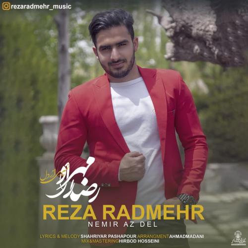 رضا رادمهر نمیری از دل